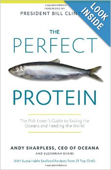 41qoGlhCOFL._SY344_PJlook-inside-v2,TopRight,1,0_SH20_BO1,204,203,200_