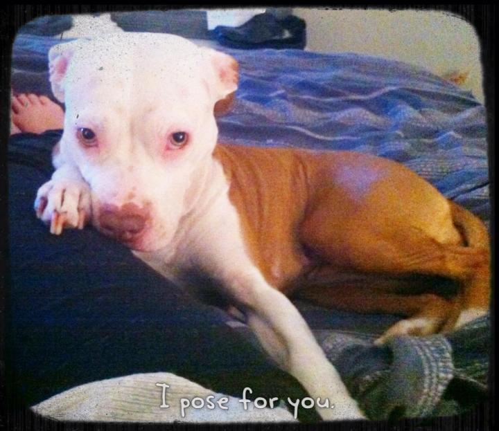 540723_10152680283885471_556006187_n