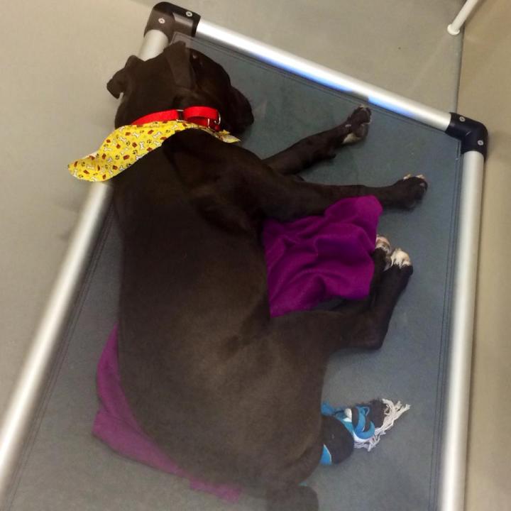 10383570_10154103021810471_4843338885589789561_n