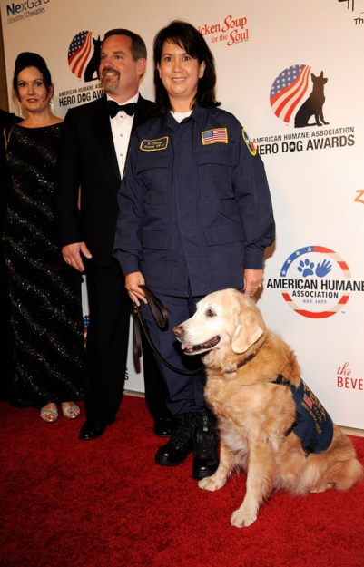 10666102_10152937468077454_4657025258908032068_n