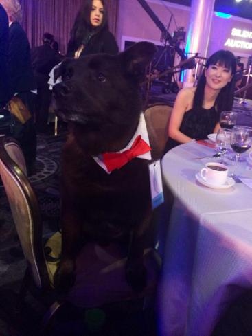 1512574_290563387804238_6819675948256741887_n