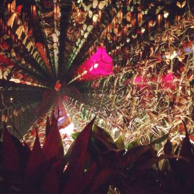 10931353_10155089840835471_3029393734447644247_n