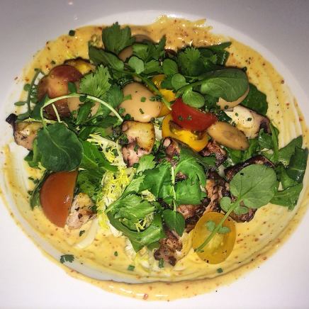 Charred Baby Octopus Salad with white beans, frisee, wild rocket, and harissa aioli at The Larchmont (Photo credit: Melissa Curtin)