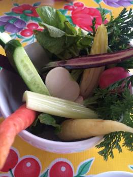 11175046_10155479985050471_5844497248049109851_n