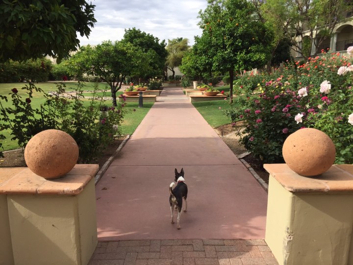 Scottsdale Arizona LA Escape