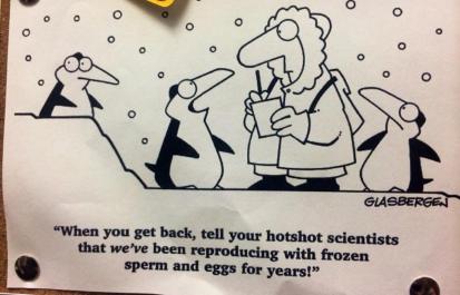 11227576_10155762711200471_2418813930826720209_n