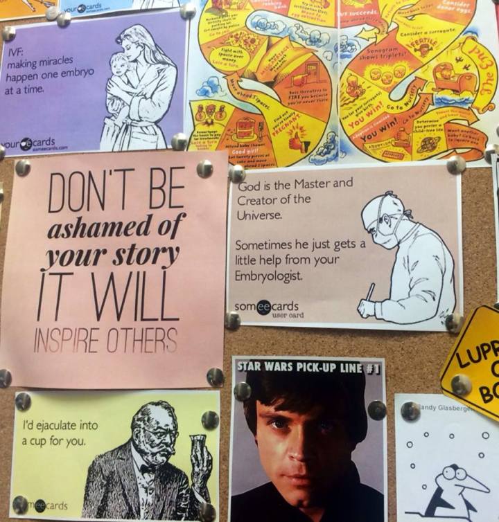 11667279_10155762711220471_2778611486733514784_n