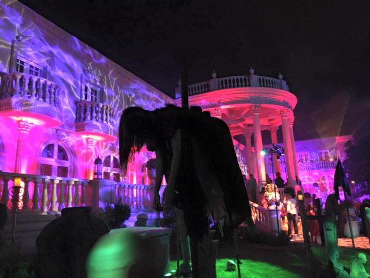 Photo credit: Melissa Curtin