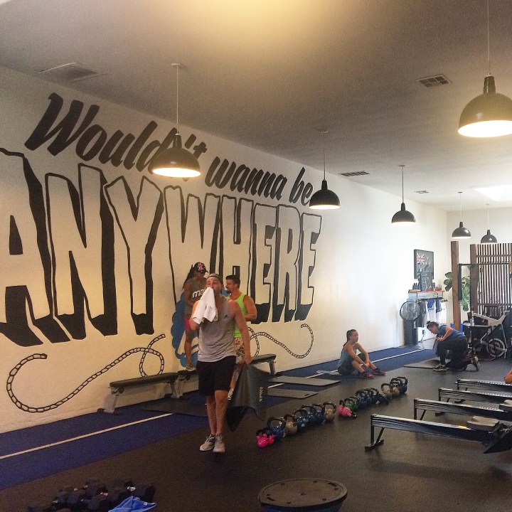 Training Mate (Photo credit: Melissa Curtin)