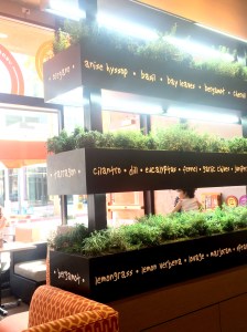 LYFE Kitchen opens up in Playa Vista (photo credit: Rochelle Robinson)