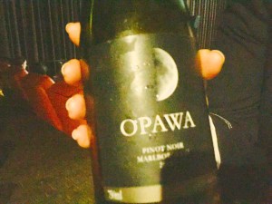 FullSizeRender (5).jpg