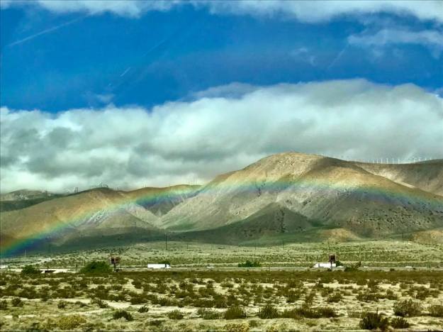 15873619_10158033477240471_3312261031769695212_n