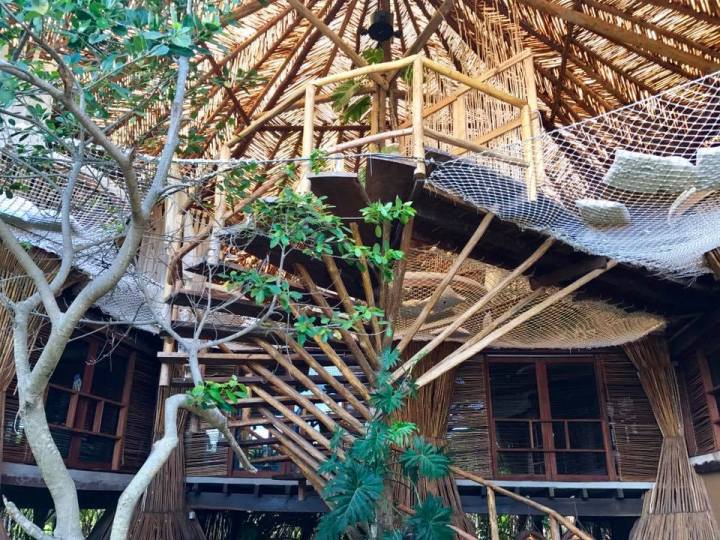 16807275_10158250999460471_6489173260453928518_n