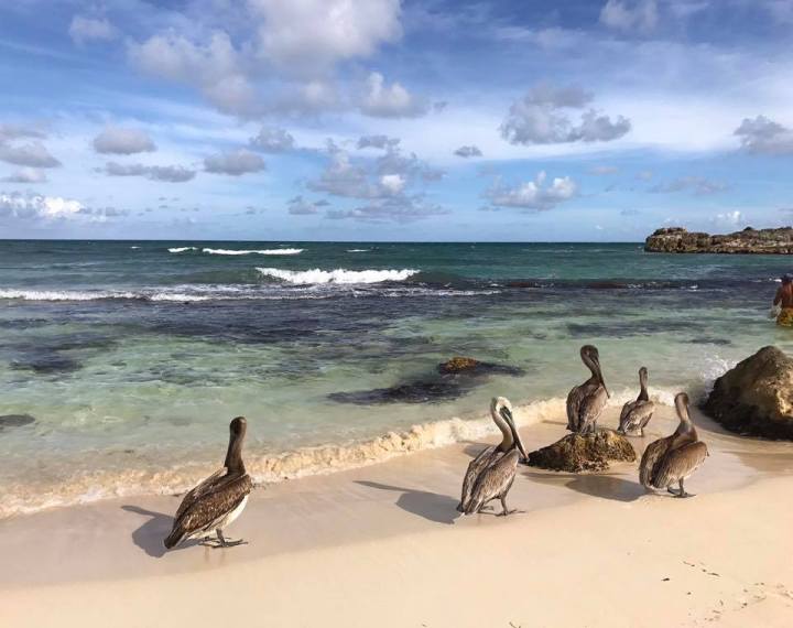 16807336_10158251165515471_2837459088464686693_n