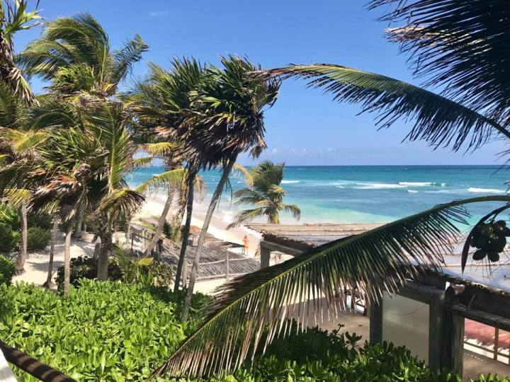 16831071_10158258002990471_1083931202690107603_n