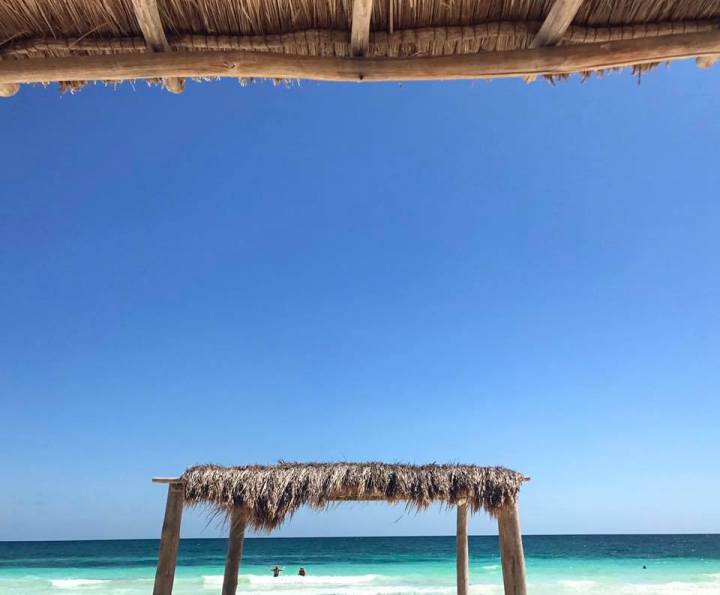 16864351_10158281511600471_4746060562807197407_n